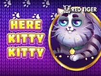 Here Kitty Kitty